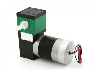 LP2 Small Diaphragm Liquid Pump - LP-2C