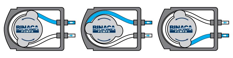 How-do-Peristaltic-Pumps-Work-Process-Graphic